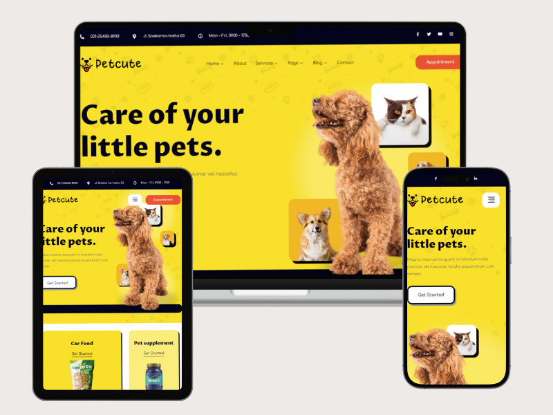 Custom pet website